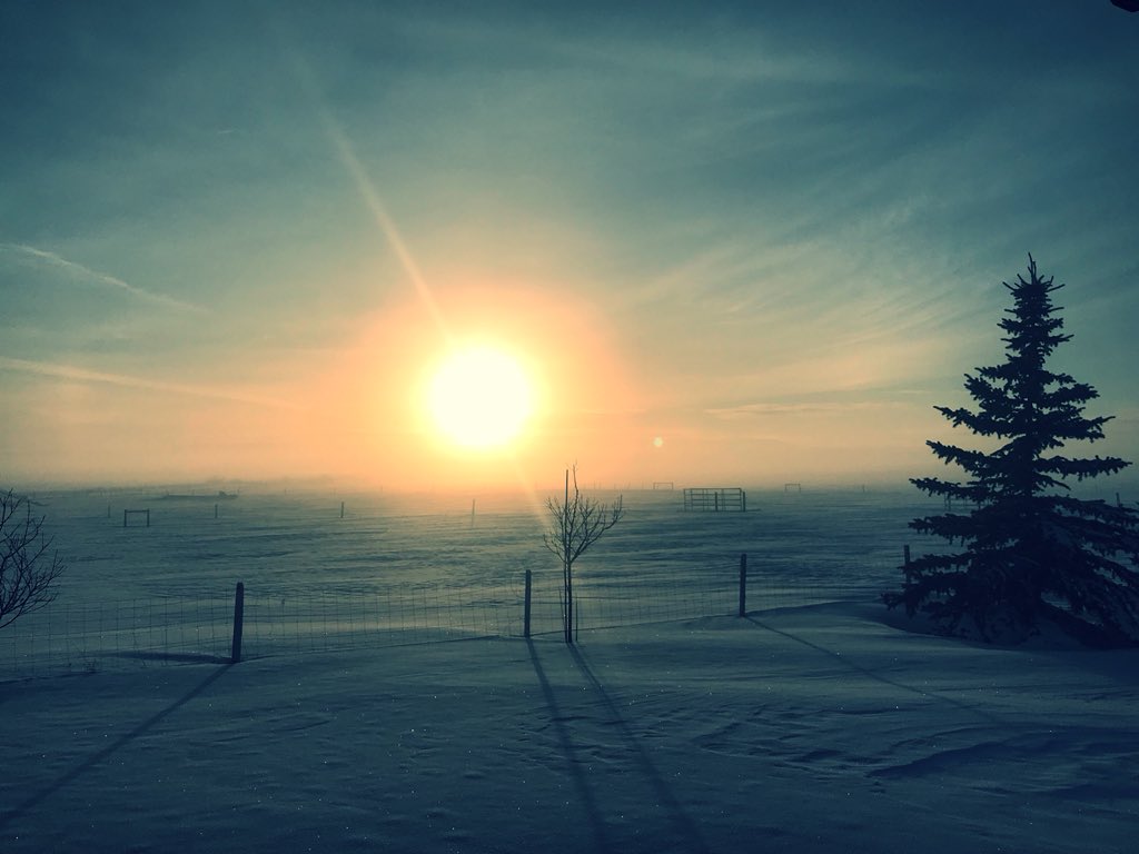 LlanaMalmberg's tweet image. The sun is magnificent today. #springsoon? #tiredofwinter