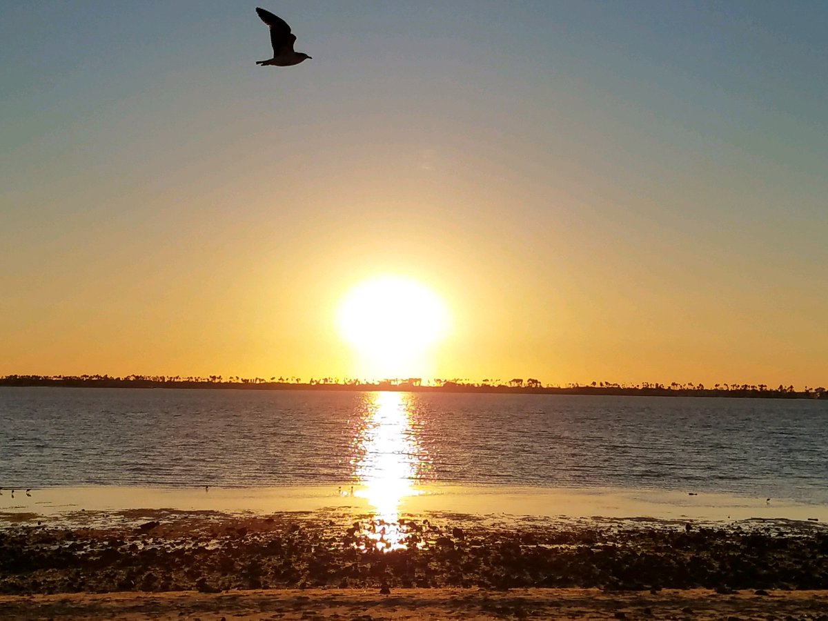SnowCone5k's tweet photo. Beautiful Bayside Park...  site of the #SnowCone5K 🍧 Sunday February 25th 8am 🍧 Online registration ends at midnight or register in-person, GO to: https://t.co/tPouKQeFyZ 

#5k #Run #Walk #PetsWelcome #WillRun4snowcone #WillWalk4snowcone #ChulaVista #SanDiego #California https://t.co/oEclK2mlOP