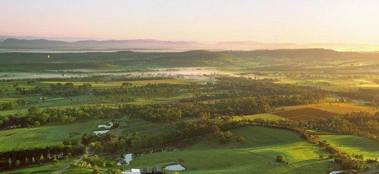 True Local tweet media