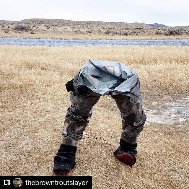 demystifly's tweet photo. LOL!!! Too funny ❄️❄️❄️
•
#Repost @thebrowntroutslayer with @get_repost
・・・
Winter fishing in a nutshell. #coldasice #🤘 #flyfishing @gratefultrout307 #simmsfishing #crazyrainbowflyfishing #uglybugflyshop https://t.co/42iAa3CKCq
