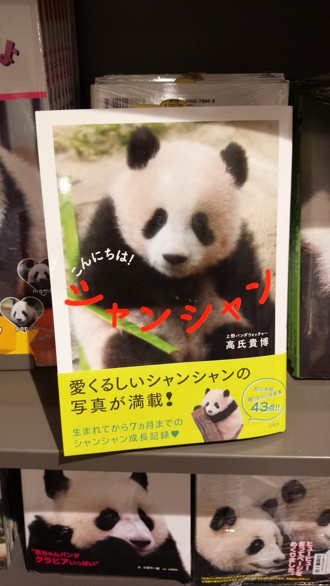 有隣堂ルミネ横浜店 こんにちは シャンシャン 上野動物園の赤ちゃんパンダシャンシャン の写真集が発売になりました 生まれた時から今までの成長記録にもなっています 可愛いシャンシャンの写真満載なのでまだ見に行かれてない方も満足出来る1冊です