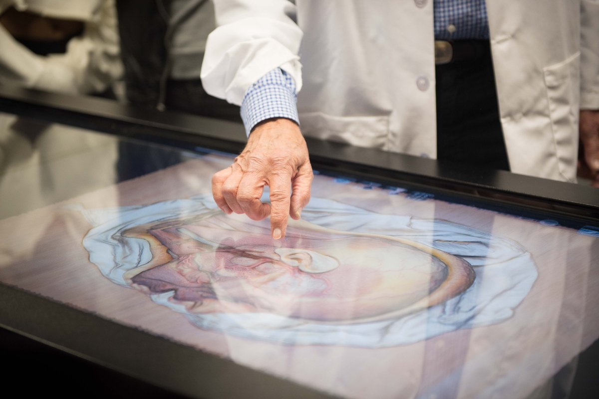 download Hippocratic