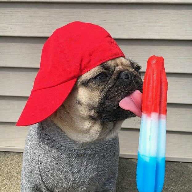 EarthBeautyyy's tweet photo. Today is very hot  day do something for coolness https://t.co/kaqABzrv2u
