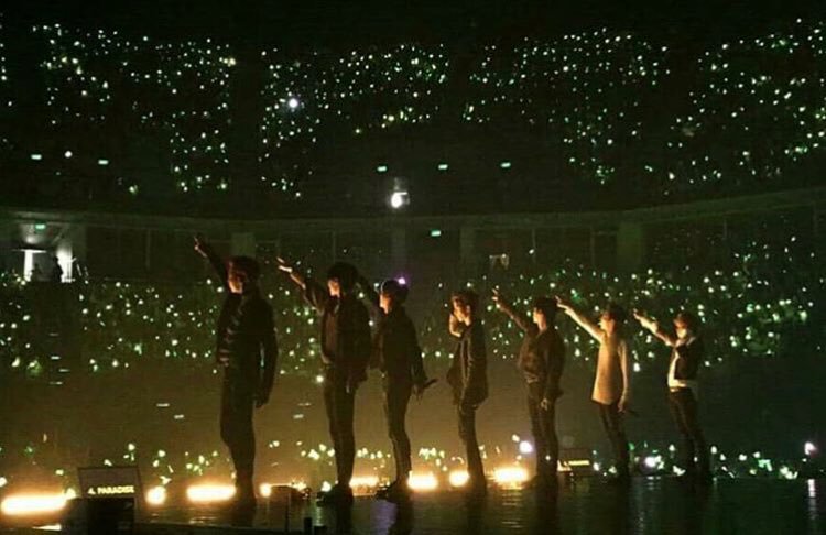 yoo_gyeom's tweet photo. 1500일 아가새들와 함께❤️🐥 https://t.co/GK68LQVRDH