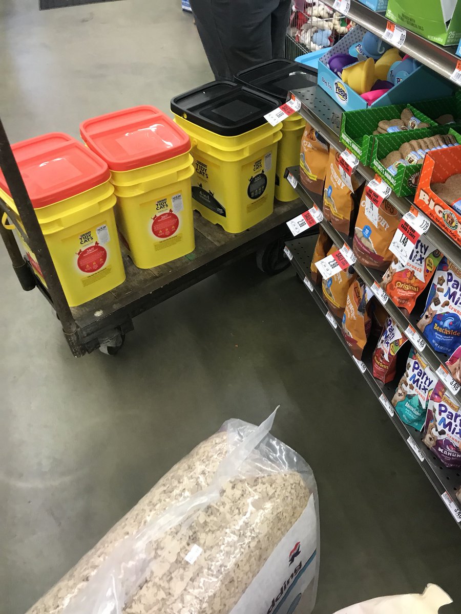 Either she’s messy at oil changes or very lonely.