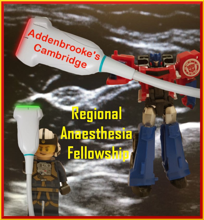 CamAnaesthesia tweet media