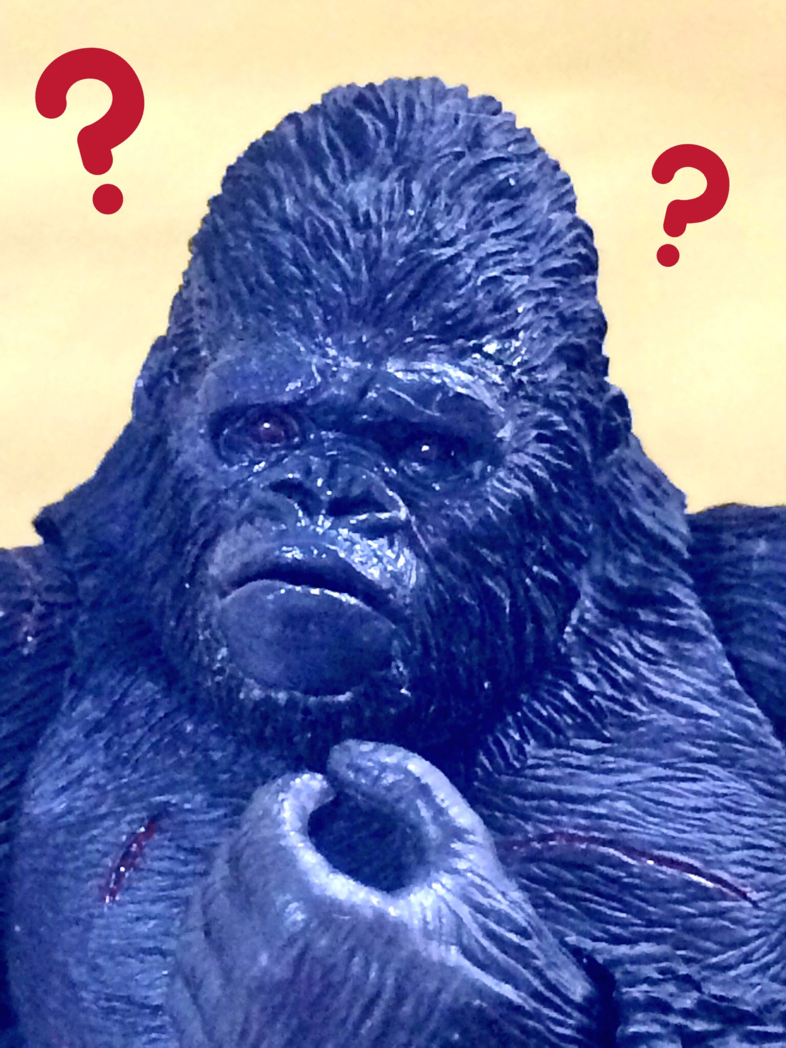 No 29 ゴリラにハテナつけると可愛い選手権 T Co Jvucz6s6ih Twitter