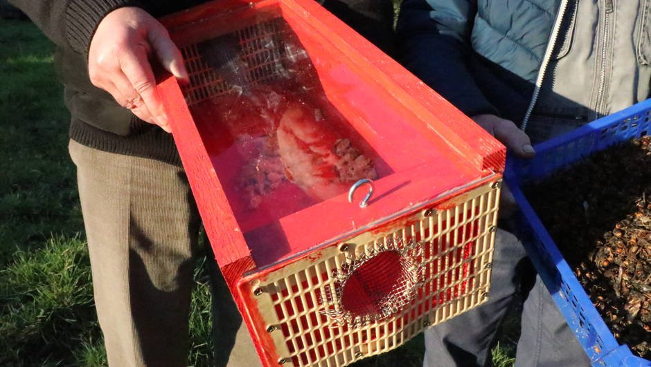 RuchesHtAllier's tweet photo. l'ASAD du Maine-et-Loire a trouvé une solution pour lutter contre le #FrelonAsiatique qui est plus respectueuse de la #biodiversite : https://t.co/p1PIGFU4s7
#apiculture #abeilles #SauvonsLesAbeilles #innovation https://t.co/TI9HFZD0KA