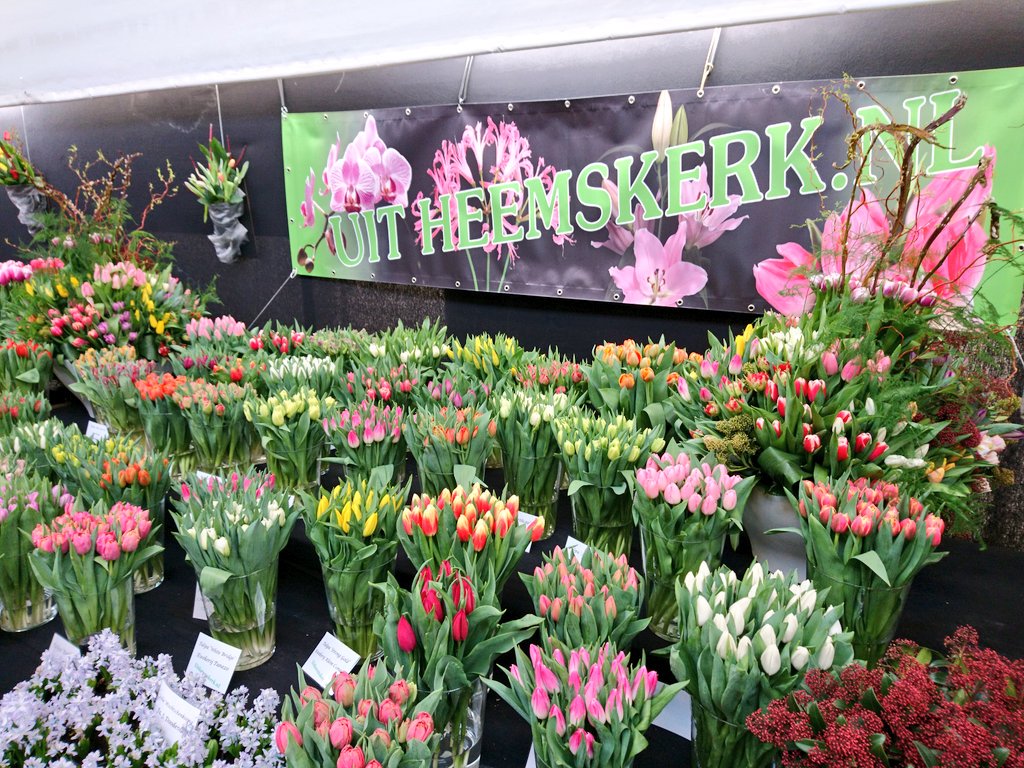 Ook de Heemskerkse kwekers weer present met een mooie snoepkraam <a href="/Vaktentoonst_15/">Vaktentoonstelling</a>! Nog t/m weekend te zien in Zwaagdijk!!