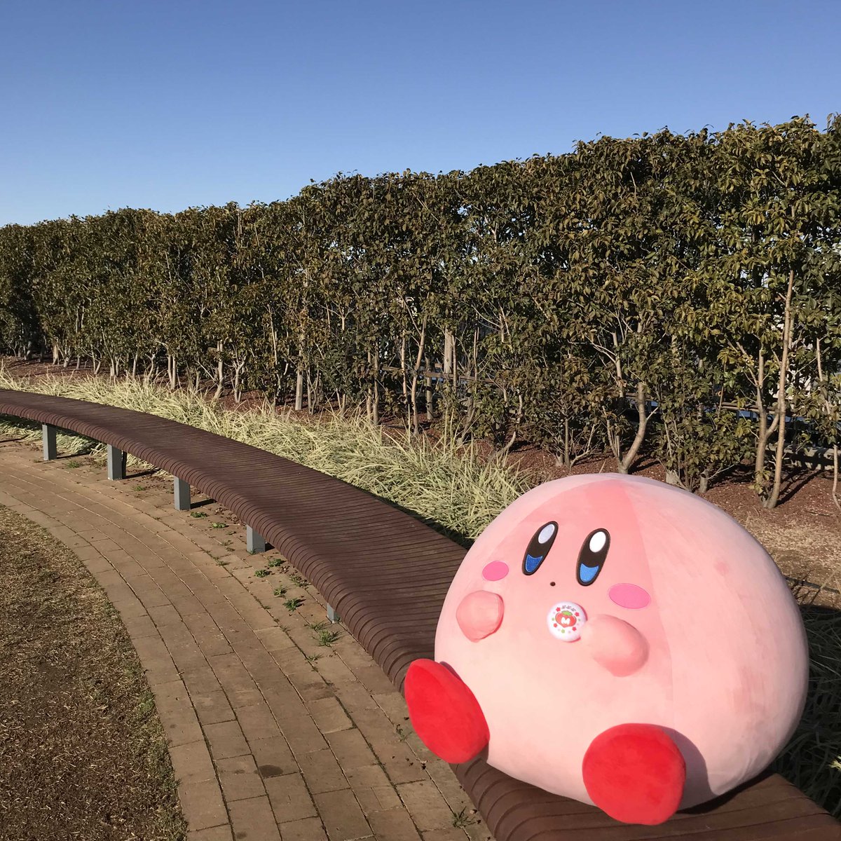 バンダイ キャンディ【公式】 on Twitter:
