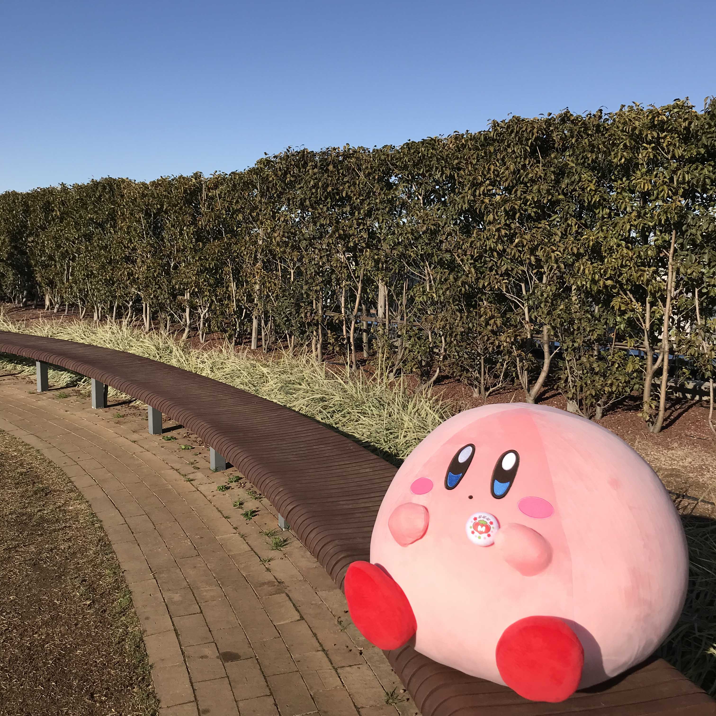 バンダイ キャンディ【公式】 on Twitter: バンダイ キャンディ【公式】 on Twitter: