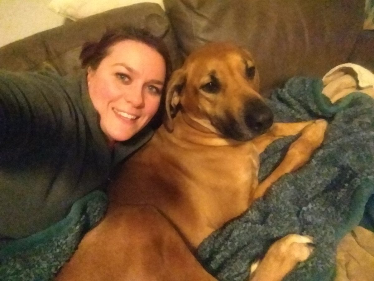 ELabhart's tweet photo. Forcing snuggles on my pup...he looks about as amused as some of my Ss when I tell a joke. @PISDReynolds #RMSFebFun https://t.co/agYqPxSf5C