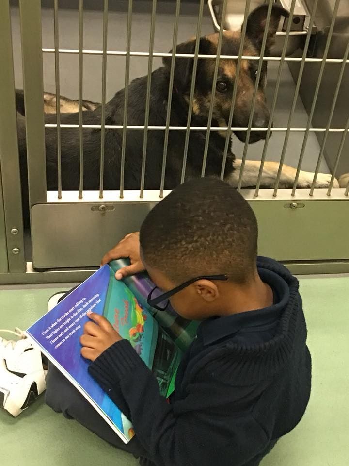 MemPetsAlive's tweet photo. Not sure about you, but we can't get enough of these pics of kids from @SCSK12Unified school Kate Bond Elementary reading to the #AdoptableDogs from @AdoptMAS.
https://t.co/nHkLHxnBt5
#KateBond #Choose901 #Serve901 #Volunteer #Memphis https://t.co/xrWUs9lQeW