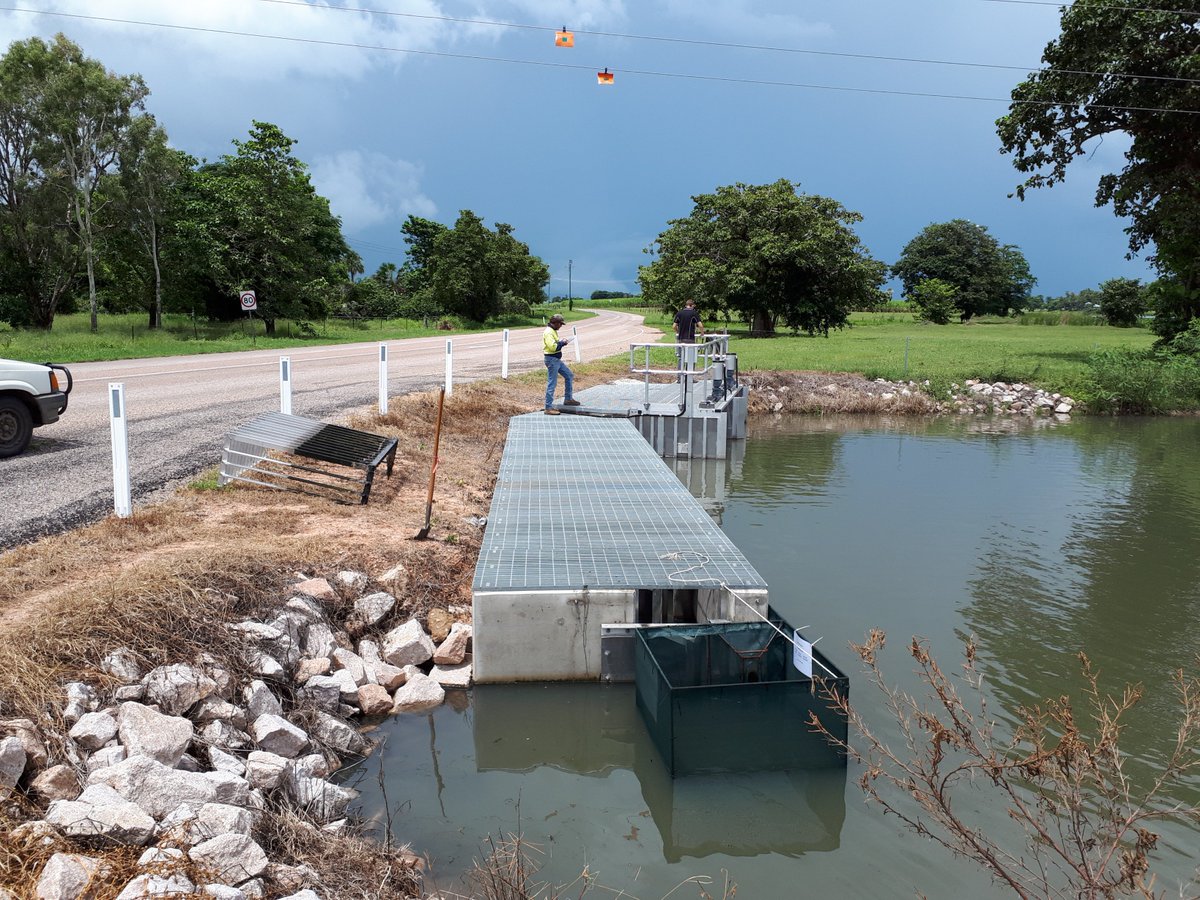 NQDRYTROPICS's tweet photo. @NQDRYTROPICS & LBW deploy fish monitoring survey traps at Lillisemere to test the efficacy of recently installed fishways. Critical to do before rainfall events as increased flows in the creek creates an acoustic signal that stimulates fish to migrate. #systemsrepair @TropWATER https://t.co/P3YGVK77IL