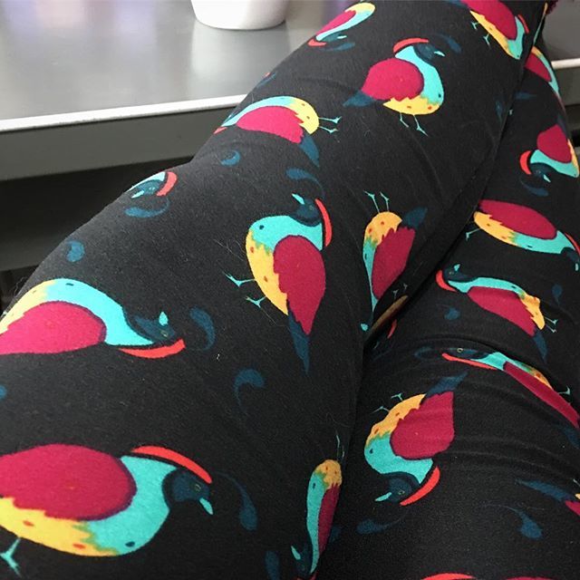 thepurplecamper's tweet image. Day 54 . . .  #ClassicT . . . #ButterySoftLeggings for Legging Day . . . #365LuLaRoe . . . #LuLaRoeMicheleSims . . . #quails . . . #AnimalPrints . . . ift.tt/2omwTKl