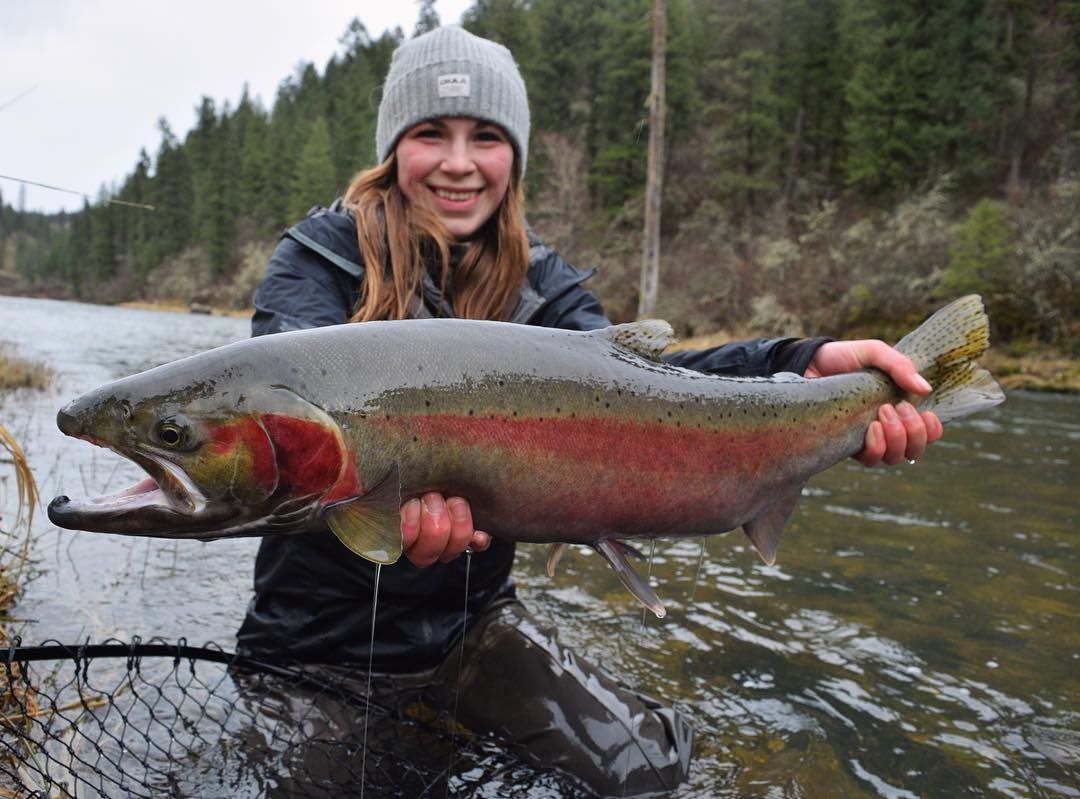 flyandstream's tweet photo. Maddie battled a weekend of wind and rain, but was able to land some quality steel👌🏻
#steelheadonthefly #steelhead #stlhd #steelheadfishing #flyfish #flyfishing #flyfishinggirls #girlswhofish #flyandstream #flyfishingjunkie #thetugisthedrug #repyourwater #catchandrelease https://t.co/9e8CSiA2rp