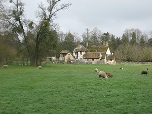 together666's tweet image. IMG_9981.JPG