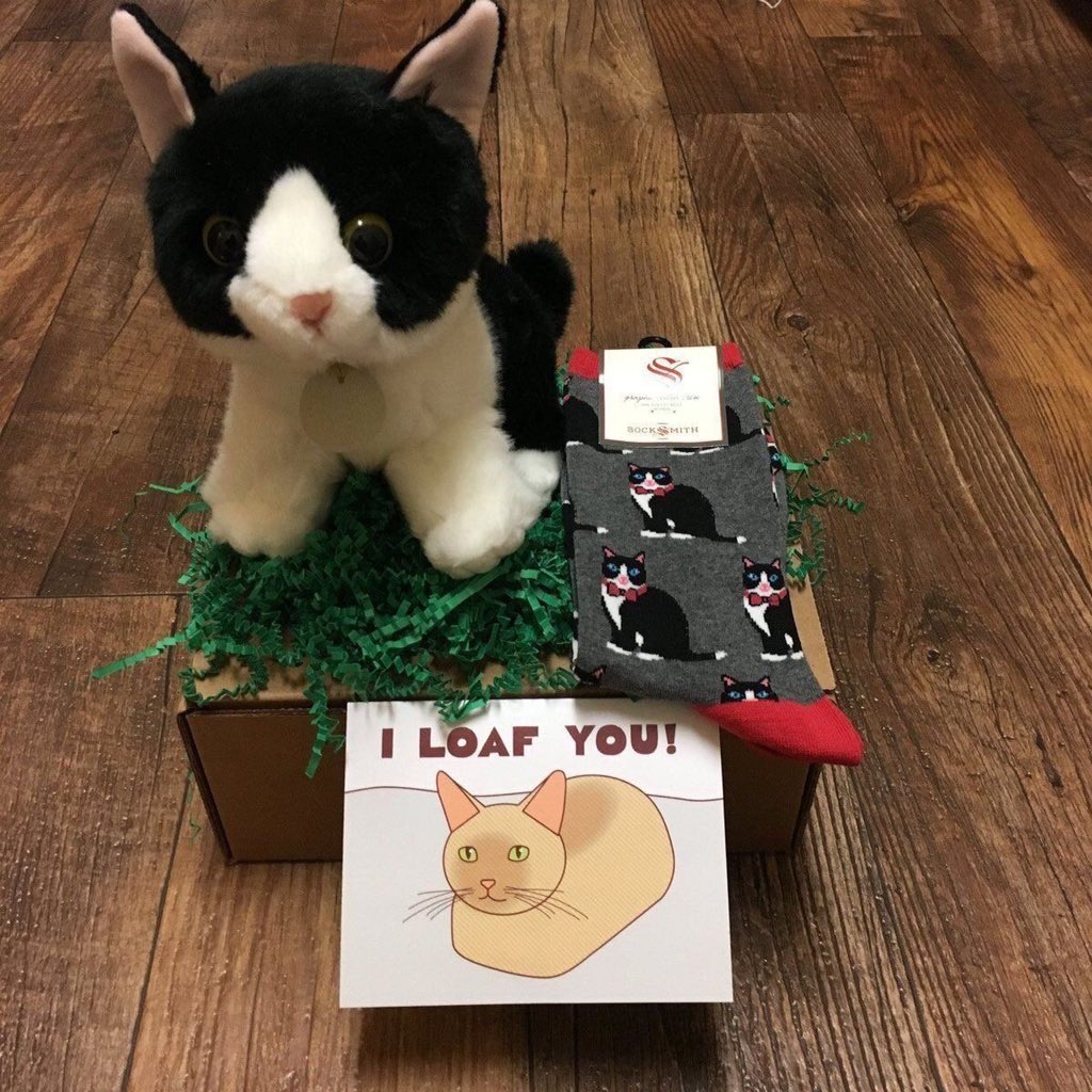 AnonymousGiftRP's tweet image. To: @SchizoJxoxo 

Have him to help you with studying❤️
~ Simba