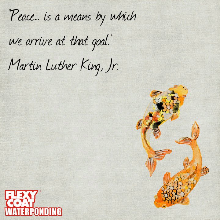 "Peace is a means by which we arrive at that goal" Martin Luther King, Jr
Selamat siang, selamat bersantap siang hobiis :)