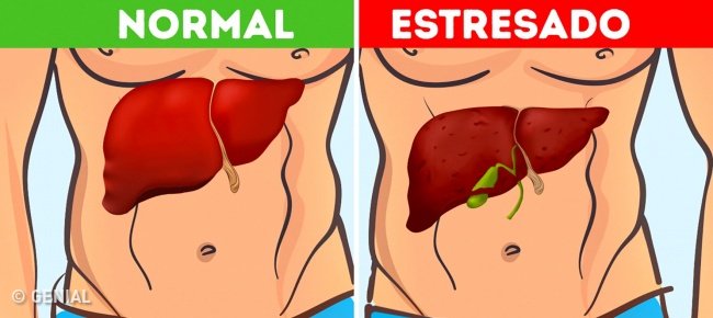 bitsologia's tweet image. 12 Maneras en que las emociones pueden estar afectando tu cuerpo dlvr.it/QHTvTw #Virales #afectando #cuerpo #emociones #en