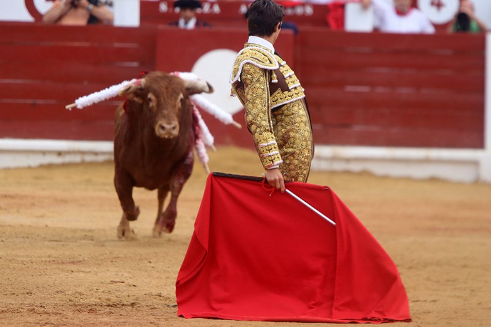 Castella, con nuevo veedor
cultoro.com/actualidad/201…