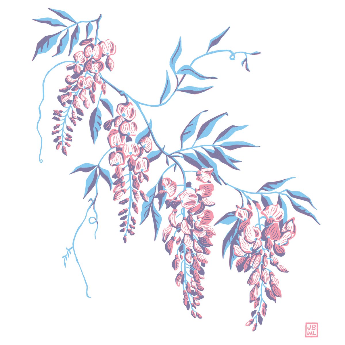 J Weston Lewis (@jbwlewis) on Twitter photo A Wisteria #illustration I made for the the new gardening book Planting for Honeybees, by <a href="/SarahWyndhamLew/">Sarah Wyndham Lewis</a> A Wisteria #illustration I made for the the new gardening book Planting for Honeybees, by <a href="/SarahWyndhamLew/">Sarah Wyndham Lewis</a>