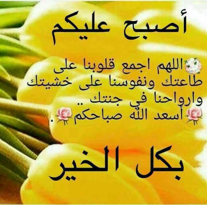 wael hamdy (@waelhamdy2010) on Twitter photo 