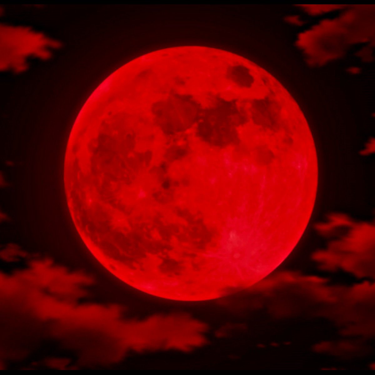 NtobzaSA's tweet image. Before The #Moon turns #Blood_Red - I Am Tempted To Challenge ALL The #Business_Models That Are Being Exercised Today Just To #Reveal The #Glory_Of_GOD *Thethelela Nkosi Yam* #NtobZA  :pray:  #Oooh_Nkos #Enkosi #AMEN 💫