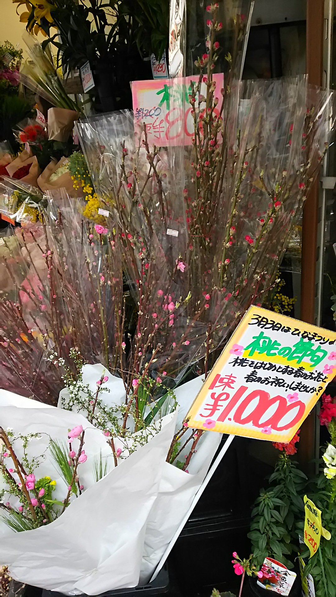 代々木上原 青山の花市場 Air Twitter