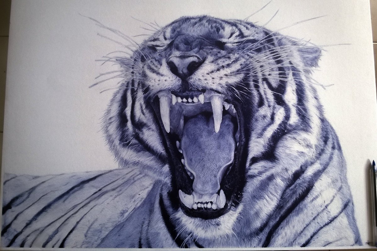 tamster_c's tweet image. The negative parts of Naija are being recognised more than the positives. While we pray for things to improve, we want change that viewpoint and show the world that Nigerians have a lot to offer in the creative light. I'm a Nigerian Ballpoint pen artist #WeAreNigerianCreatives