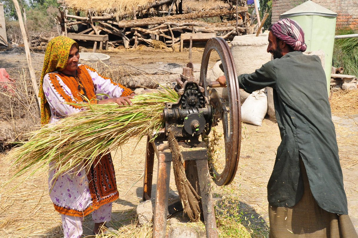 unwomenasia's tweet photo. Engagement of women and men, girls and boys is critical to advance the rights of #ruralwomen #CSW62 @FAOAsiaPacific  @WFP_AsiaPacific  @UN_Women @miwaunwomen @UNESCAP https://t.co/GmYysYvOdX
Photo via @FAOAsiaPacific https://t.co/YqVTRQ4bKW