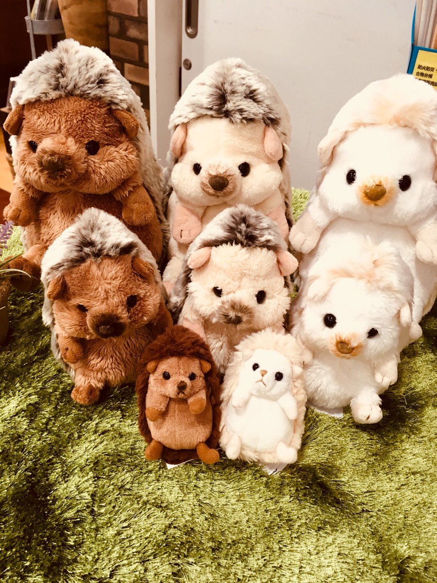 ひさしぶりに勢揃いしたハリネズミちゃん♪ 新しくキーチェーンも