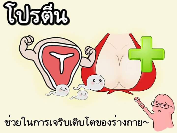 ซีลิน🐋 tweet media