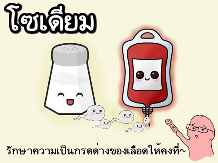 ซีลิน🐋 tweet media