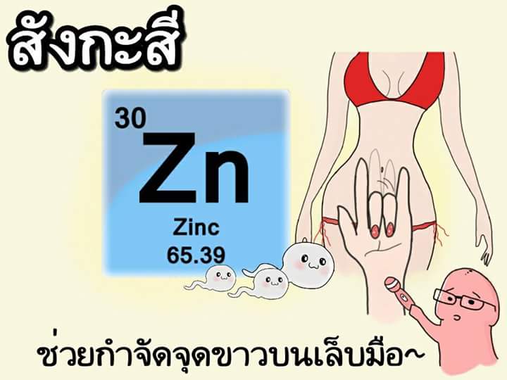 ซีลิน🐋 tweet media