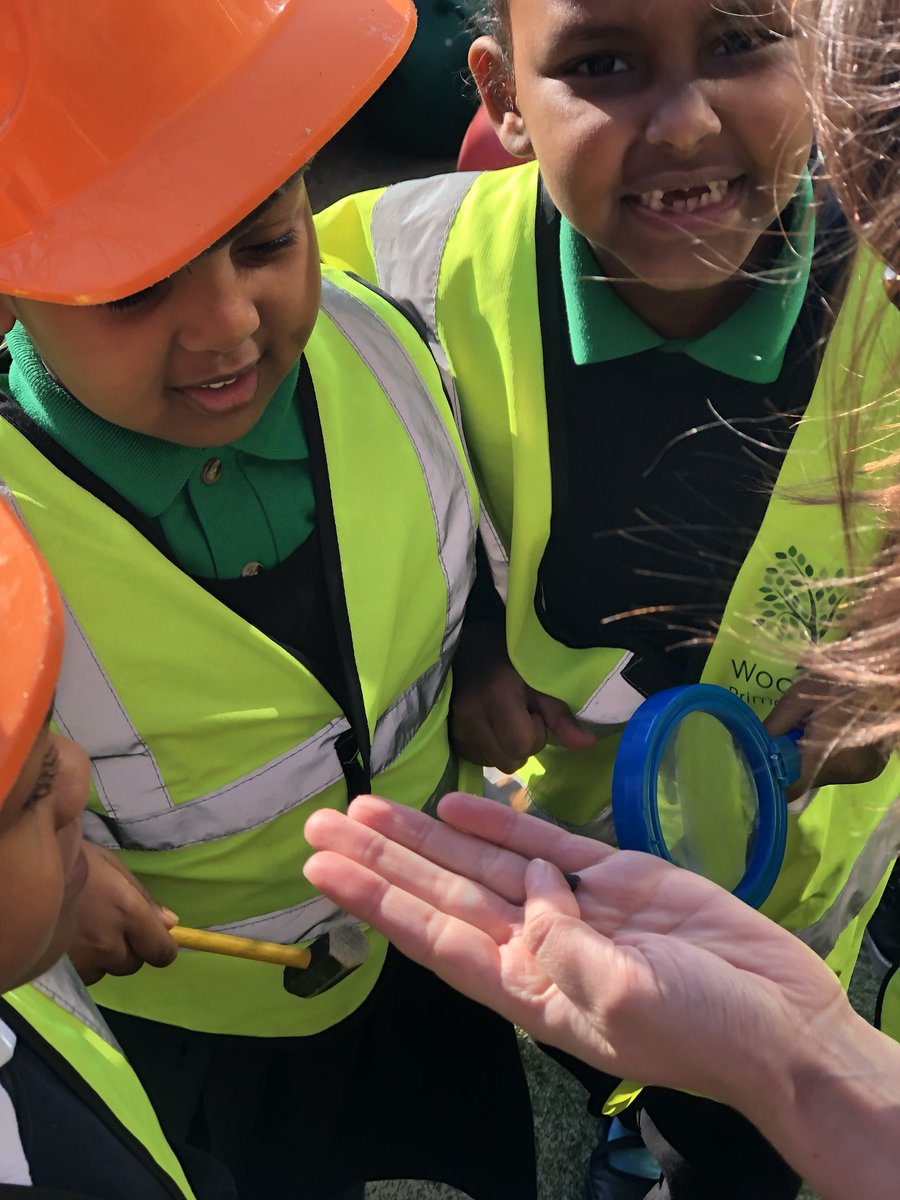WoolmoreTweets's tweet image. Y1 Holly paleontologists search for fossils of dinosaurs #science #evidence #properkit #nurseryfascinated