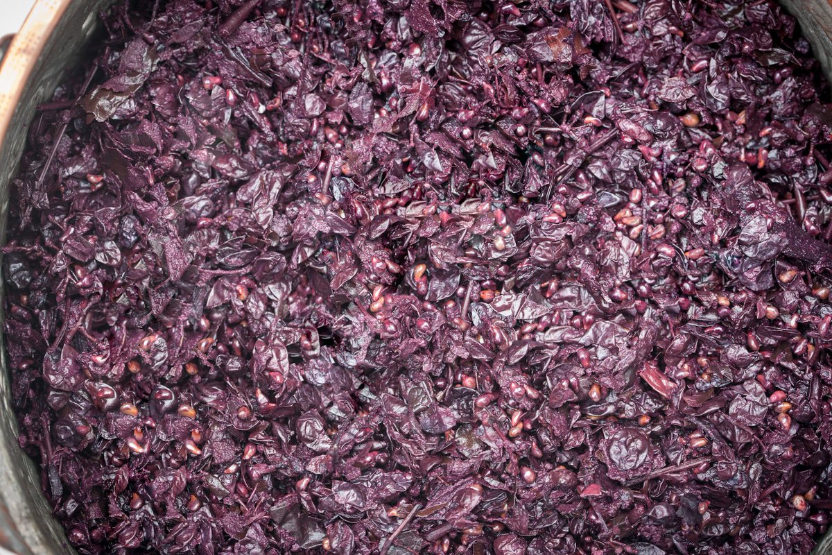 Buongiorno e buon venerdì a tutti. Chi ci sa dire cosa è raffigurato in questa foto? 😋😋😋
#tenutavillanova #italianwine #italianspirits #wine #spirits #quiz