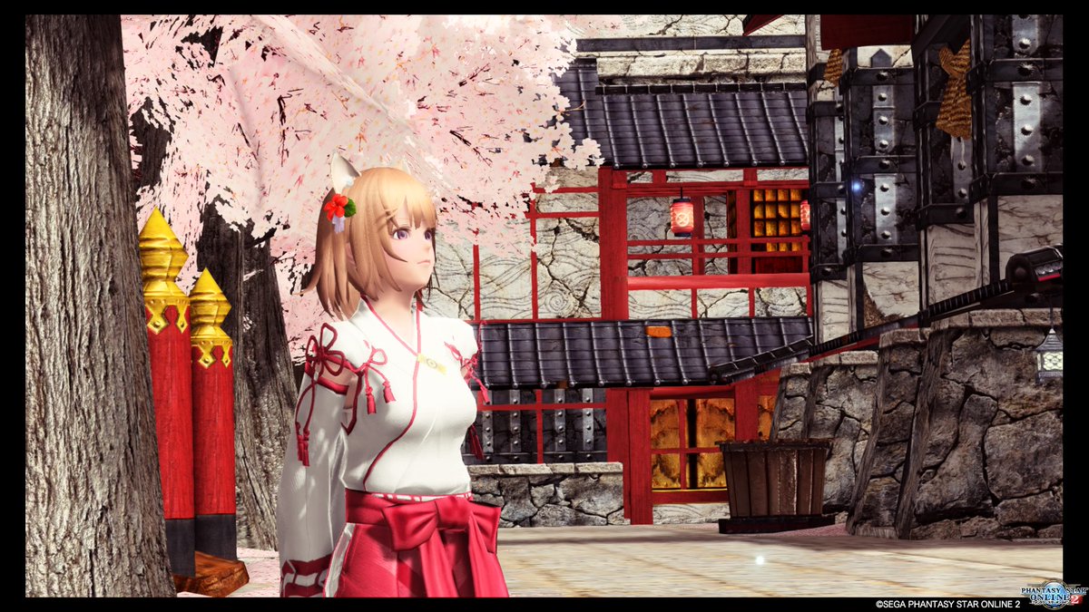 PSO2_yuzutan's tweet image. 最近暖かくなってきたなぁ･･･なんて思いながら桜の下で１枚！ 
木が予想以上に大きくて撮るのめっちゃむずい(◦˙-˙◦)笑" 

#PSO2 #PSO2_SS
#フォロワーのアークスがrtしてくれてまだ見ぬアークスと繋がりたい