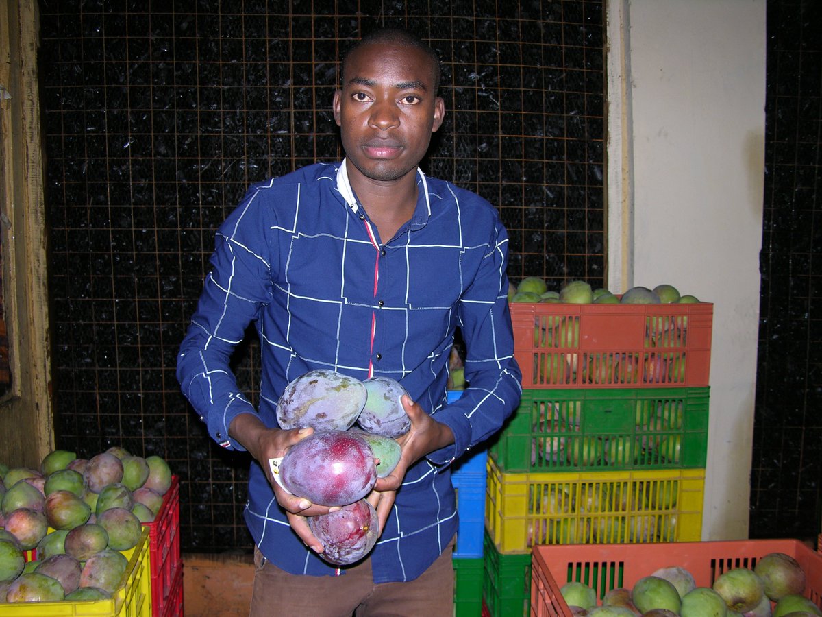finallyobi's tweet photo. The Kenyan youth have proved they can be instrumental in communicating technology & agricultural extension services to farmers in the rural areas @rodgers_kirwa @dailynation #SeedsofGoldKitale https://t.co/LD35EzqZVc