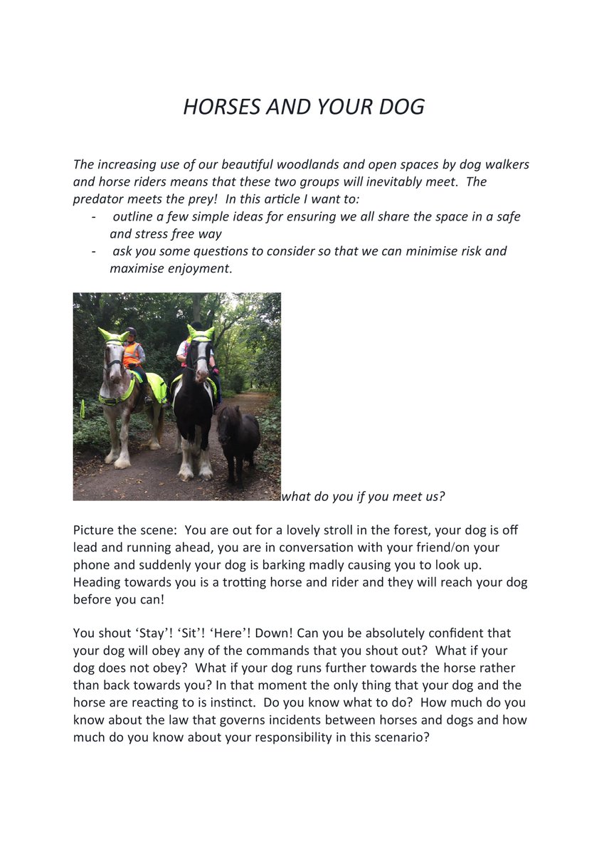 dog walker advertising ideas