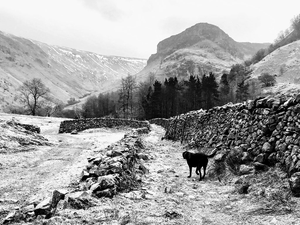 ‘Of all the paths you take in life, make sure a few of them are dirt’ -John Muir  #eaglecrag #walkingthewainwrights #walkinginthelakes #LakeDistrict #Cumbria #pathsinlife