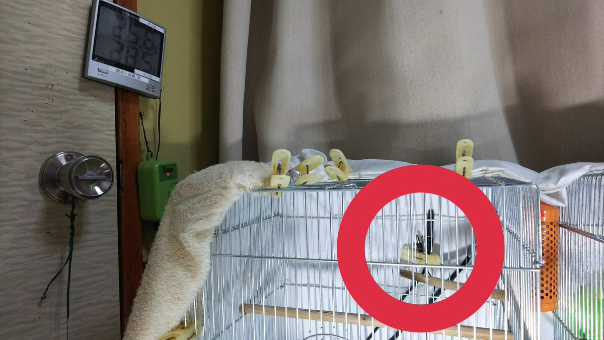 空乃木屋文鳥左衛門 En Twitter ペットヒーターとサーモスタットのセット例です ケージを覆うカバーは 画像の布の様な感じで 前面を開け 夜は布で覆う 三方を囲う様にします サーモスタットのセンサー 画像の様な電子温度計でセンサーが別の場合 空乃木屋文鳥左衛門 En Twitter ペットヒーターとサーモスタットのセット例です ケージを覆うカバーは 画像の布の様な感じで 前面を開け 夜は布で覆う 三方を囲う様にします サーモスタットのセンサー 画像の様な電子温度計でセンサーが別の場合