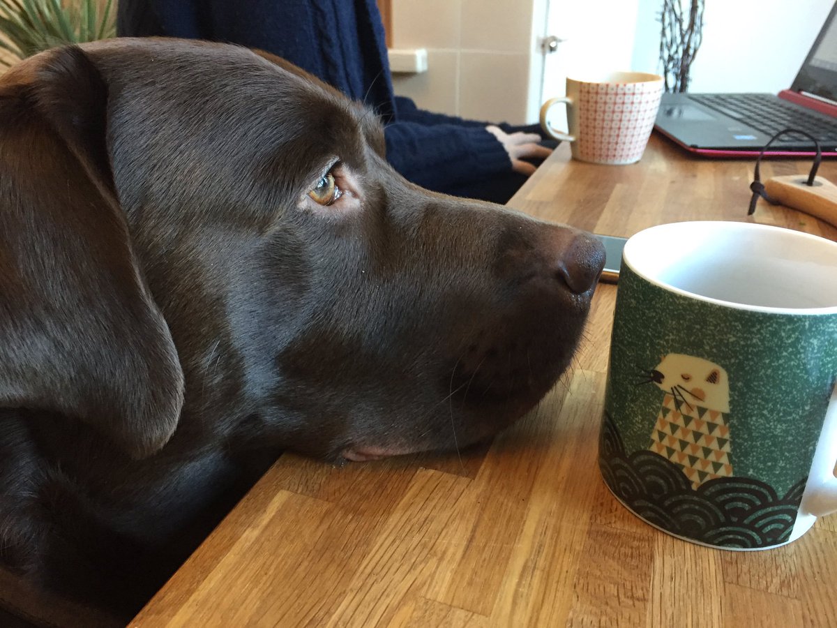 Dr Daniel Allen tweet media