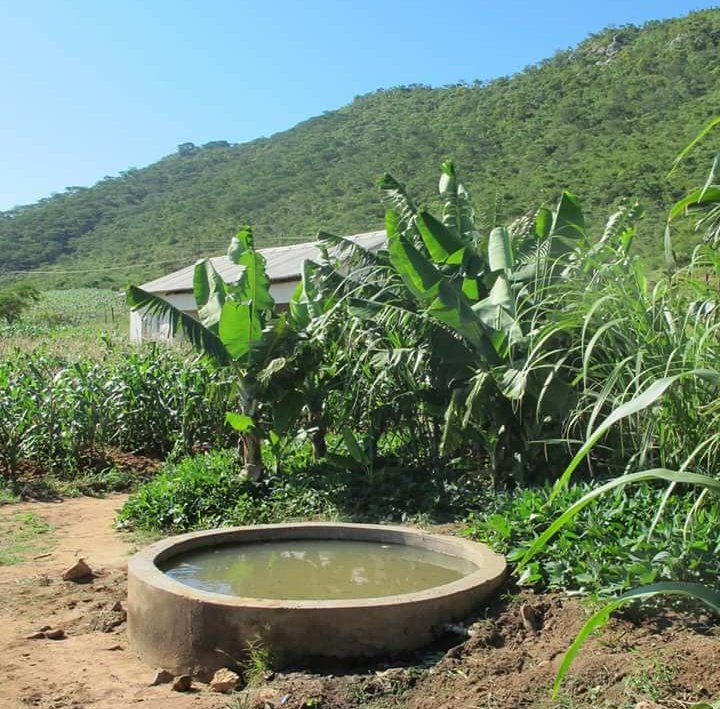 skambalu's tweet photo. Two years ago I visited @CAFOD partners in Zimbabwe. Today I'm remembering particularly #CaritasMutare, where we visited an irrigation project supported by #MatchFunding from 2012. Double your donation today as well! Thank you. #LentFastDay https://t.co/xqq3Vx5GpK