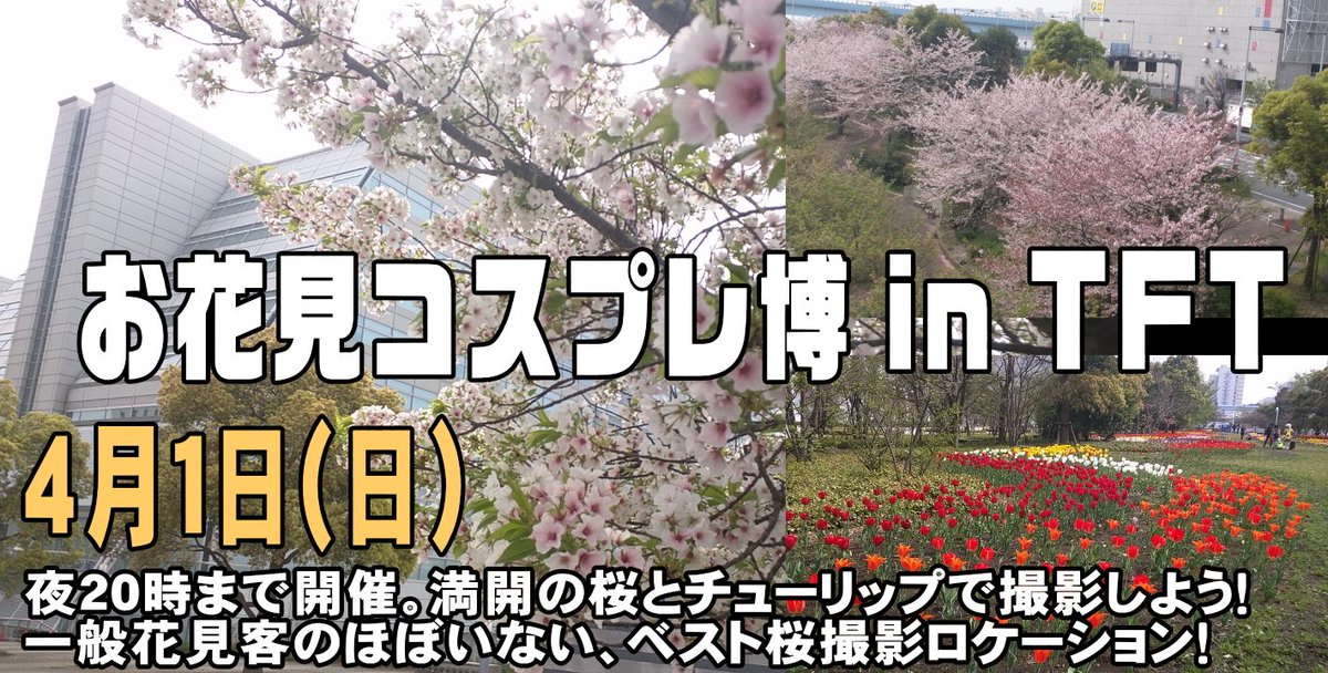 コスプレnews 桜お花見コスイベ 桜満開 お花見コスプレ博intft は4 1 日 開催 一般のお花見 客ほぼ無し 枝が低い桜が30本以上 チューリップ祭同時開催の最高桜撮影環境 敷物を敷いてのお花見会もok 大型更衣室と明るく暖かい快適な屋内撮影空間も