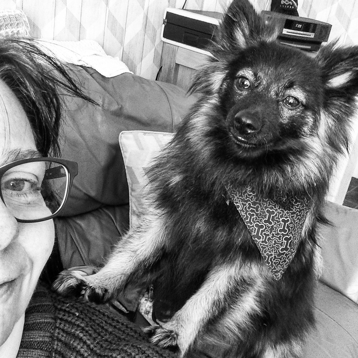 #MurphythedogandTillyto