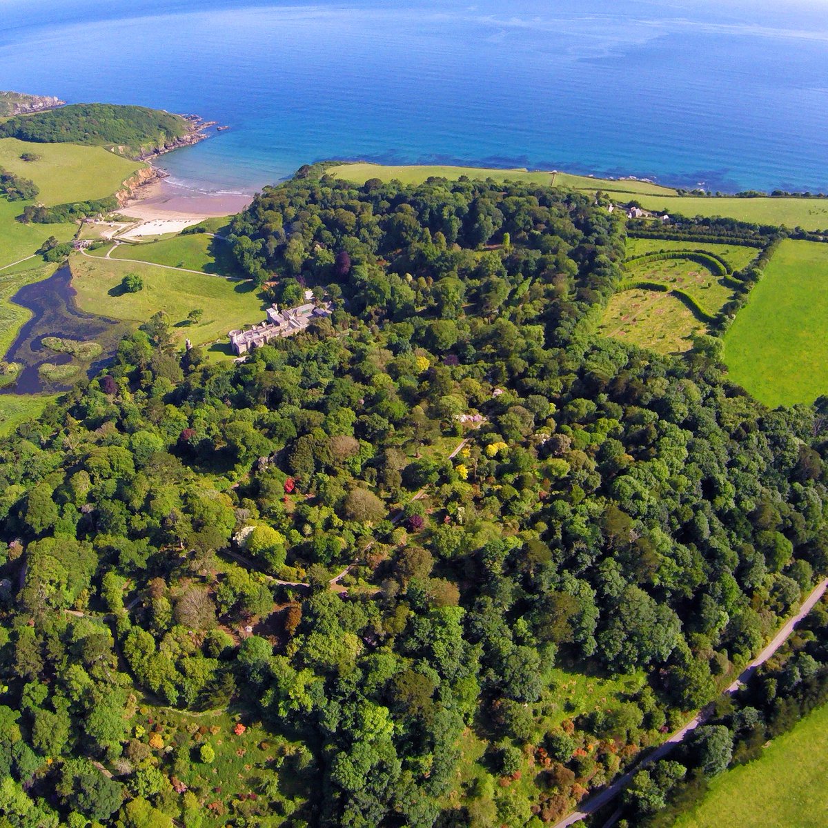 If you’re looking for a great day out this weekend, why not come and visit us? We’ve got 140 acres of stunning gardens to explore and a beach if you’re brave enough for a paddle! ❄