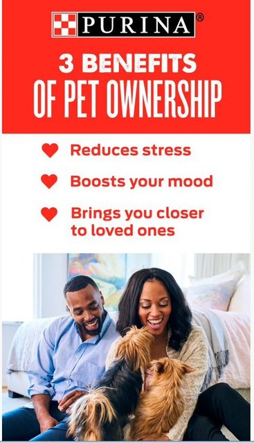 BrandonHines08's tweet photo. Dogs are so much more than companions! https://t.co/F4H0KMW653 #purinaemp https://t.co/1aOlQrsCPM