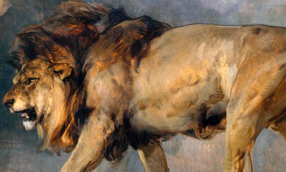 Lion's Lair (@lionslairdenver) on Twitter photo 