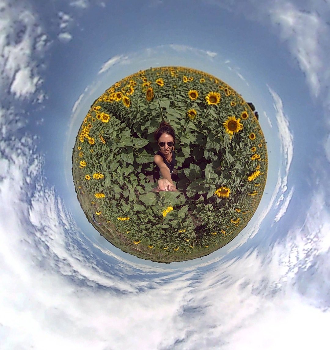 ioncomunidad's tweet photo. 😜Tus aventuras en 360° 🌻🌎#ionelectronics #camara #vr #girasoles #360 #android https://t.co/TFTpFhHCum